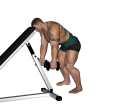 Posterior Raise - Bent Over Dumbbell Head On Bench